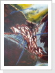 First She Asked For Darkness 12/2011 Mischtechnik.Klammern.Museumscarton.Blut.50x35cm First She Asked For Darkness 12/2011 Mischtechnik.Klammern.Museumscarton.Blut.50x35cm